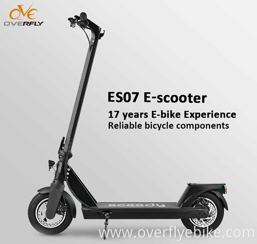 Electric scooter